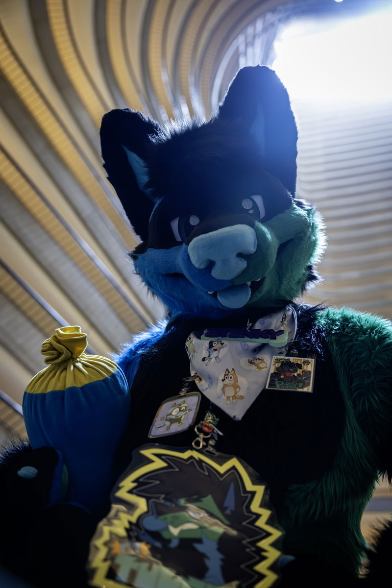 Furry Weekend Atlanta 2024