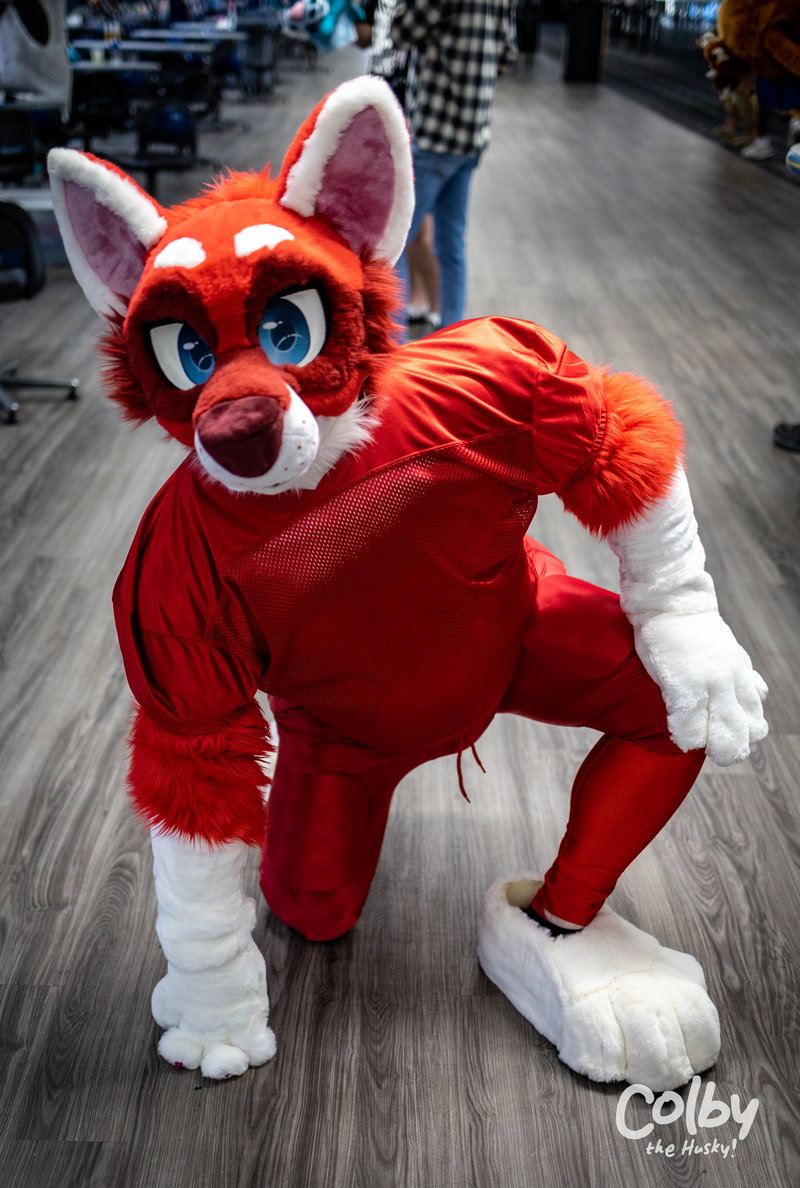 DFW Furbowl June 2022