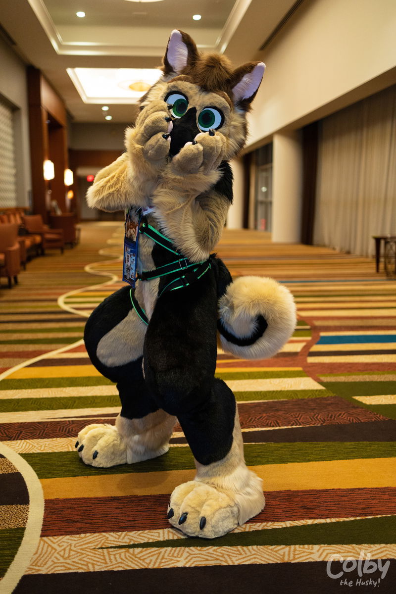 Painted Desert Fur Con 2021-2022