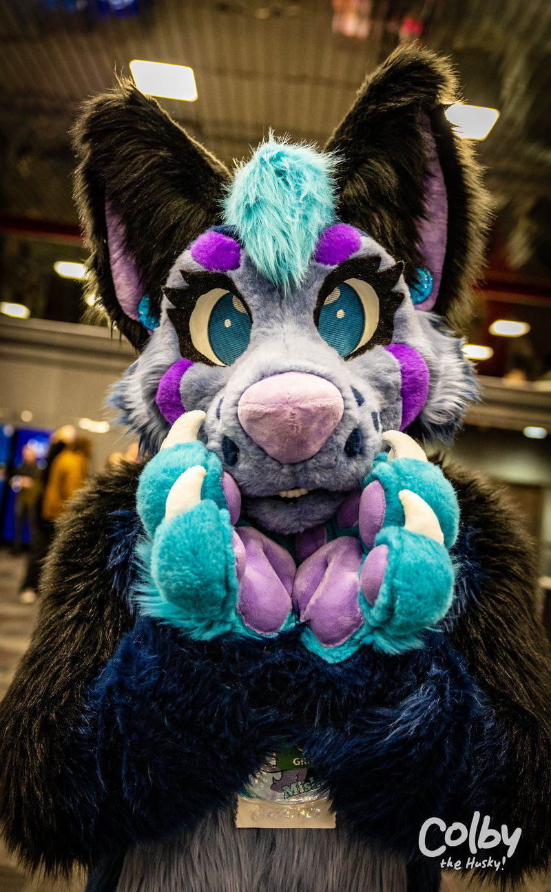 Midwest Fur Fest 2022