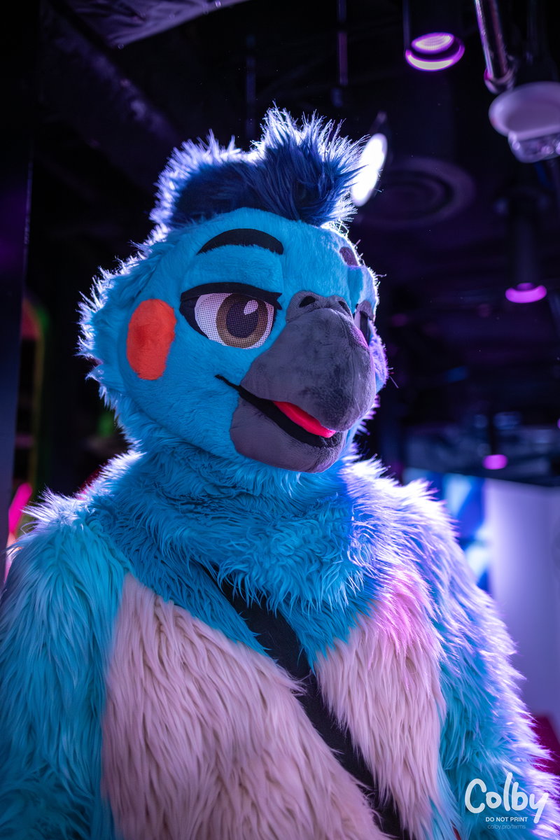 Dallas Fursuiting Adventures August 2025