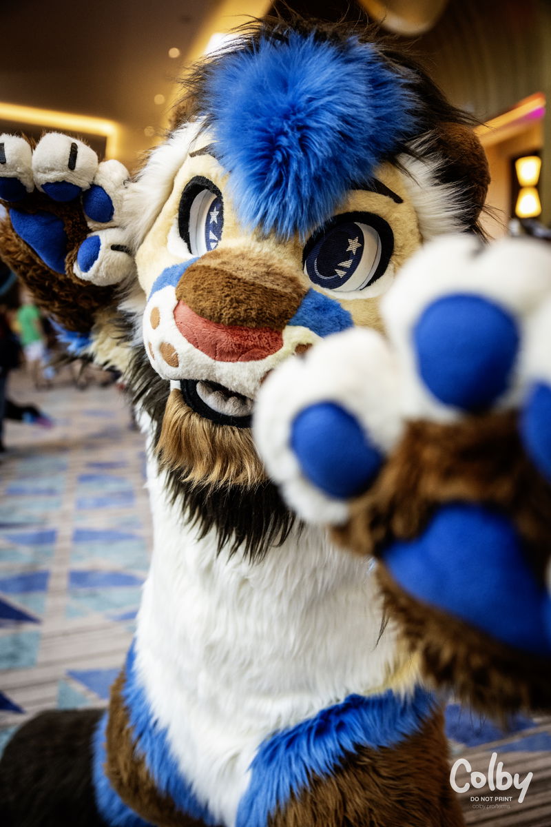 Megaplex 2024