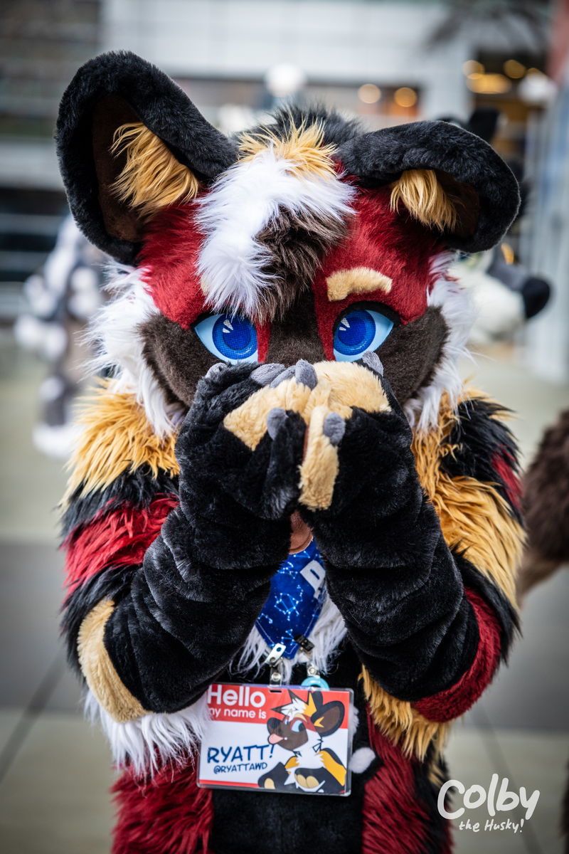 Further Confusion 2023