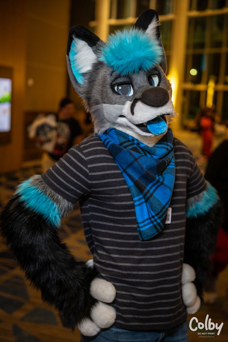 Megaplex 2025