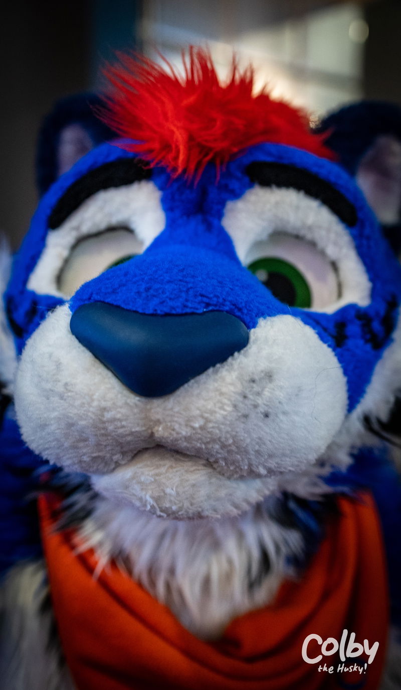 Biggest Little Fur Con 2022