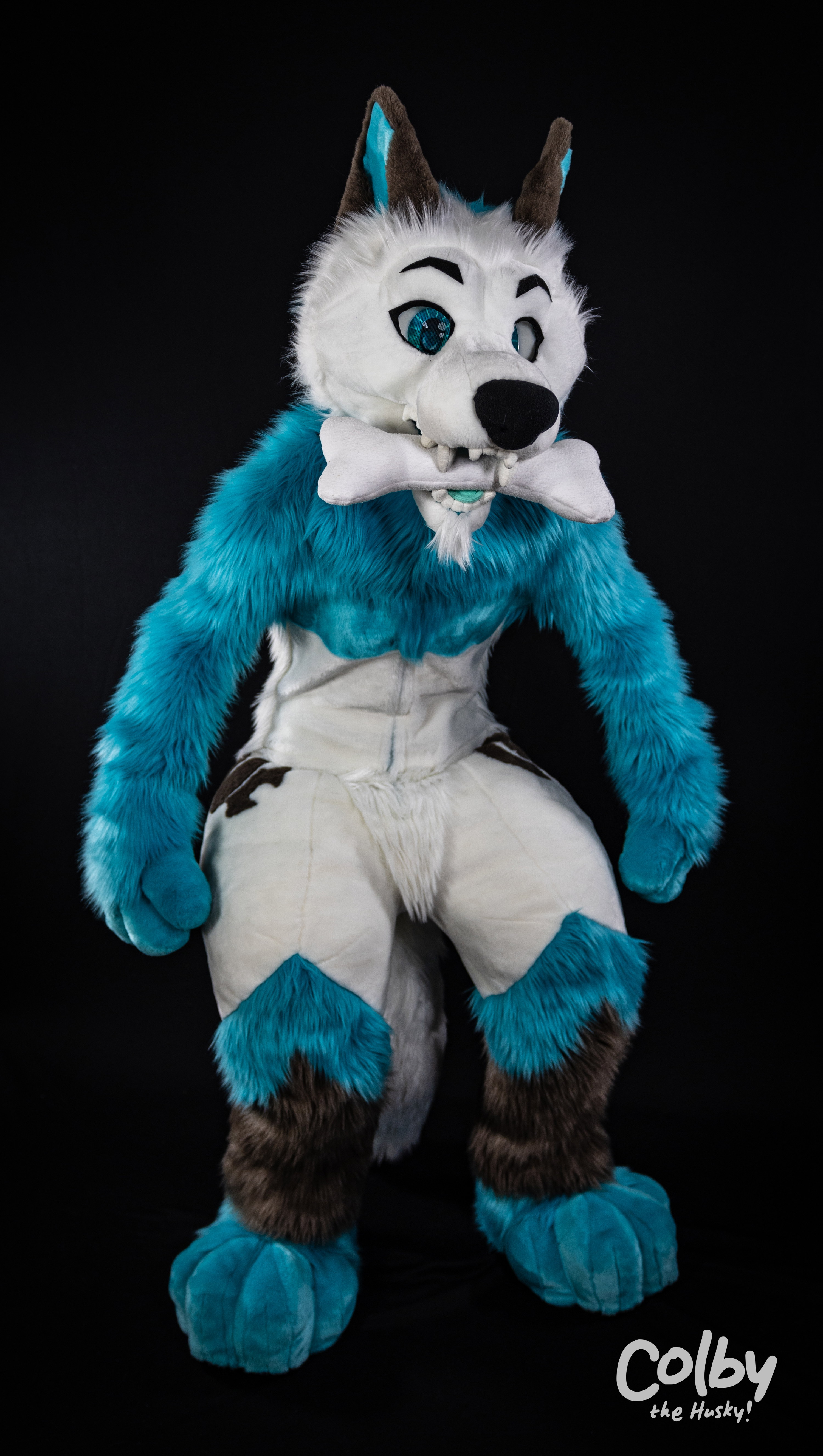 Gallery item 2897