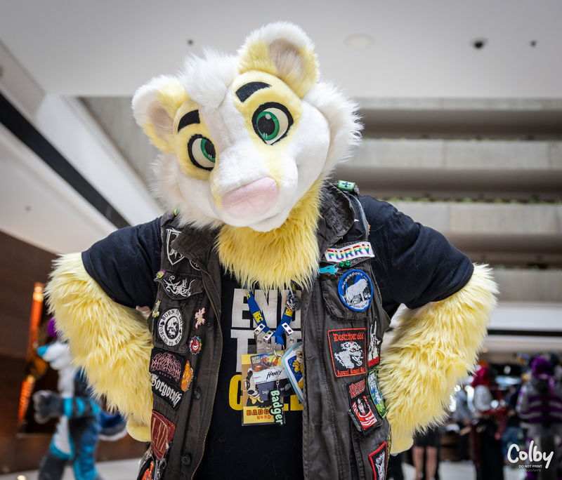 Midwest Fur Fest 2025