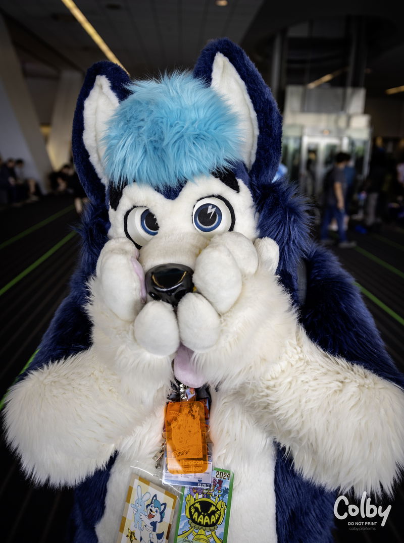 Anthrocon 2024