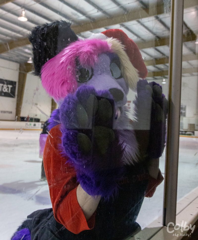 Furries on Ice November 2021