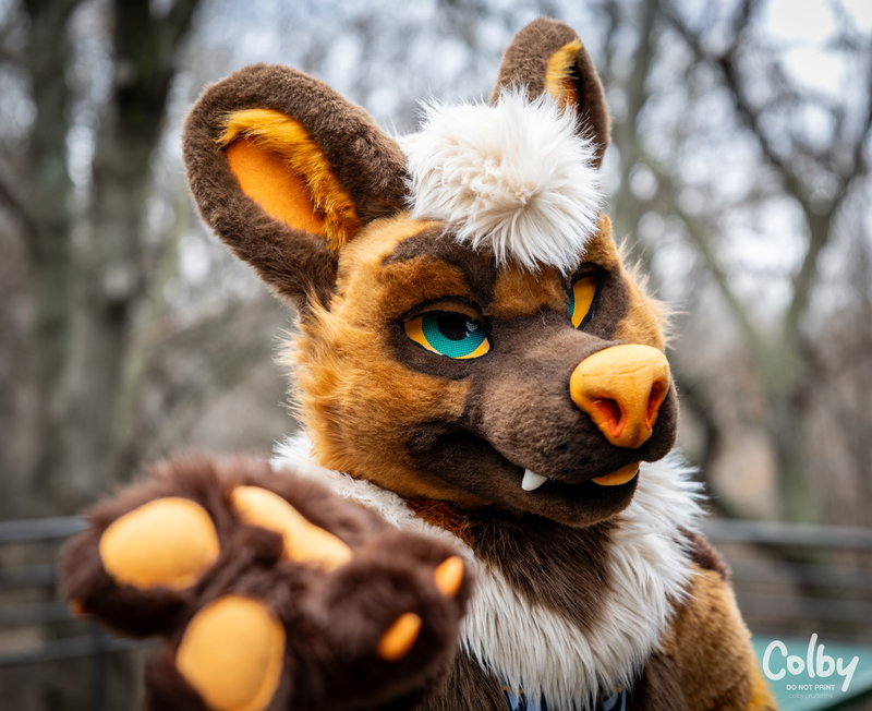 Plano Fur Meet February 2025