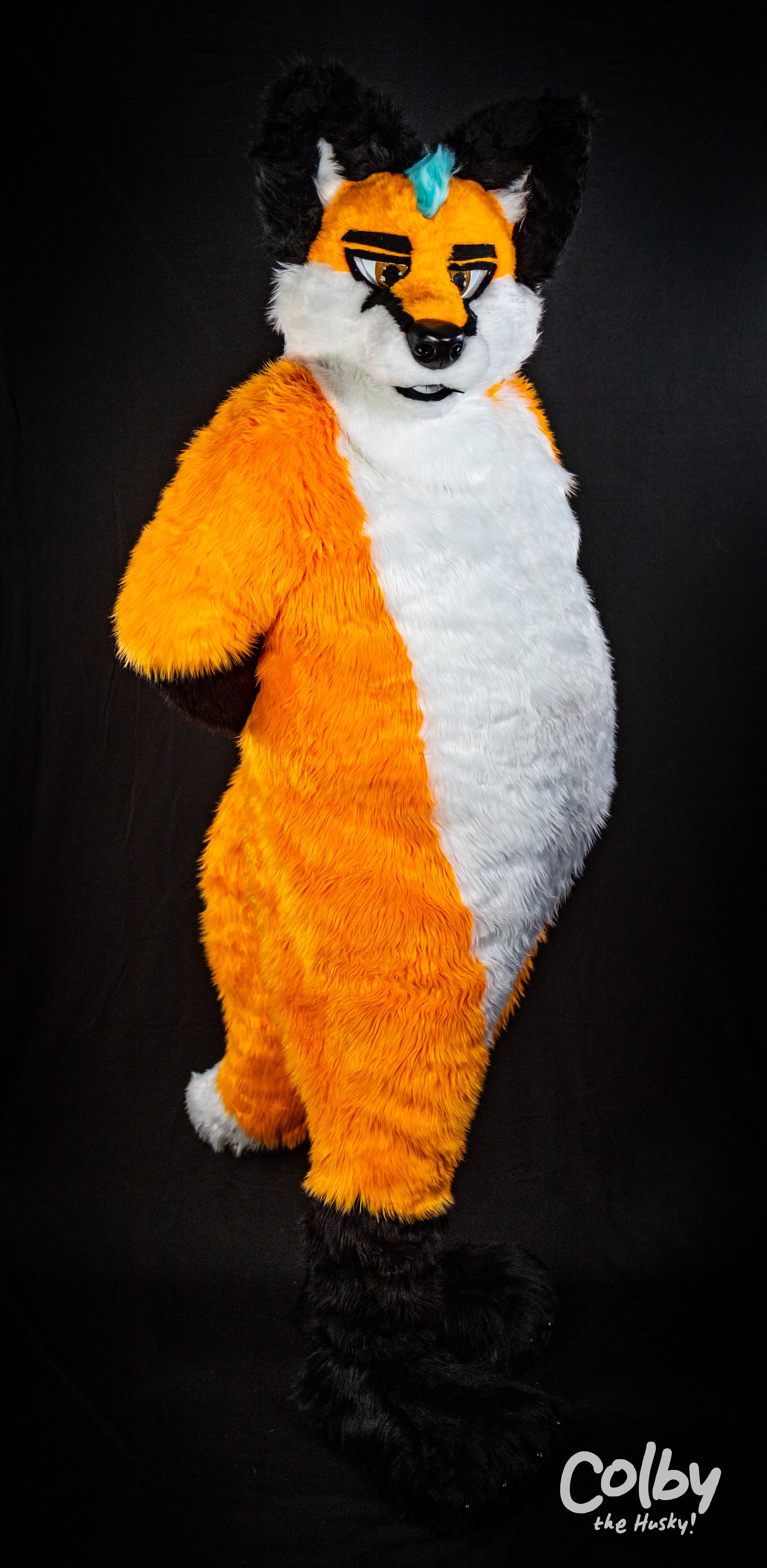 Gallery item 3424
