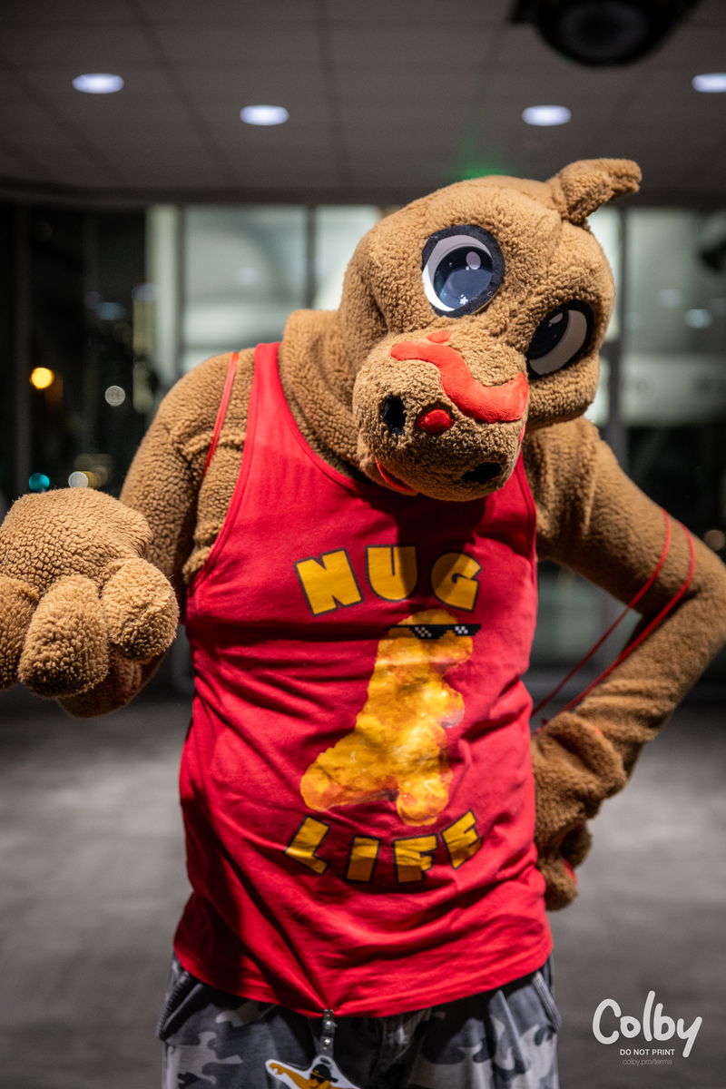 Texas Furry Fiesta 2024