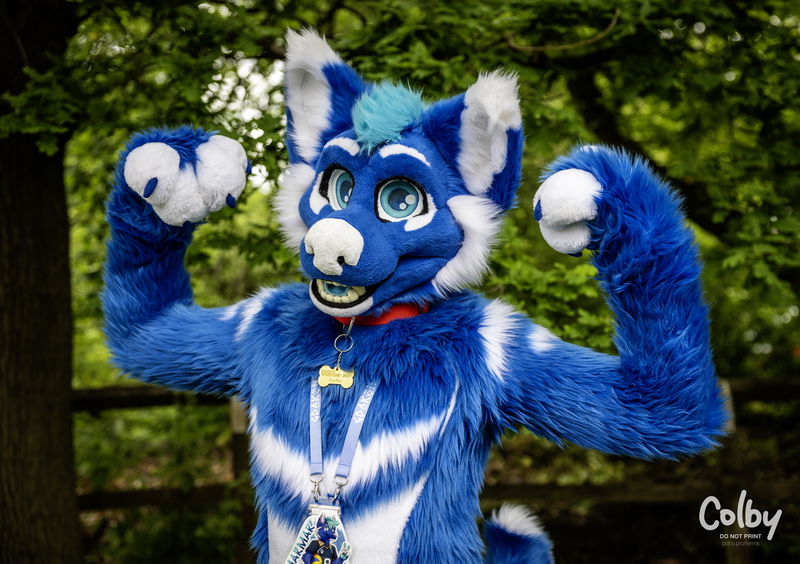 Confuzzled 2024