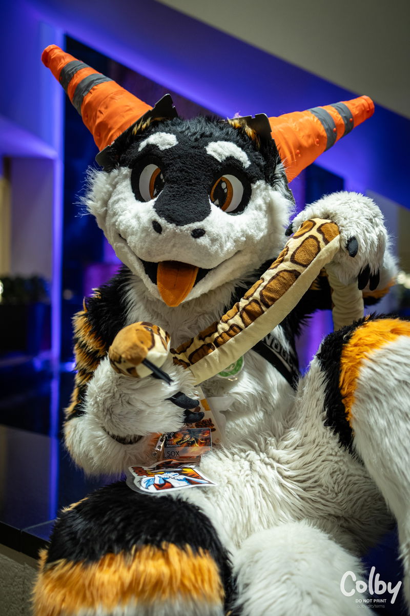 Texas Furry Siesta 2025