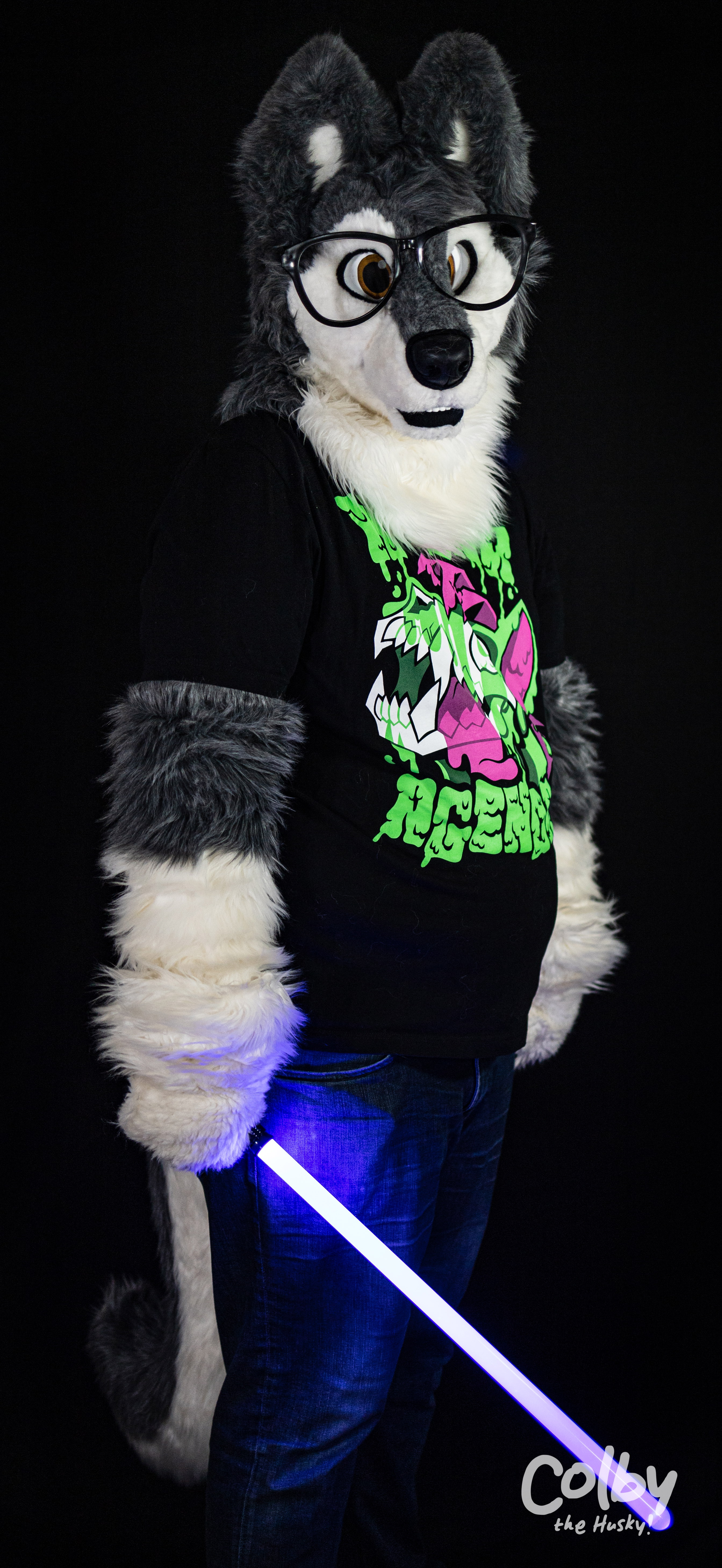 Gallery item 3484