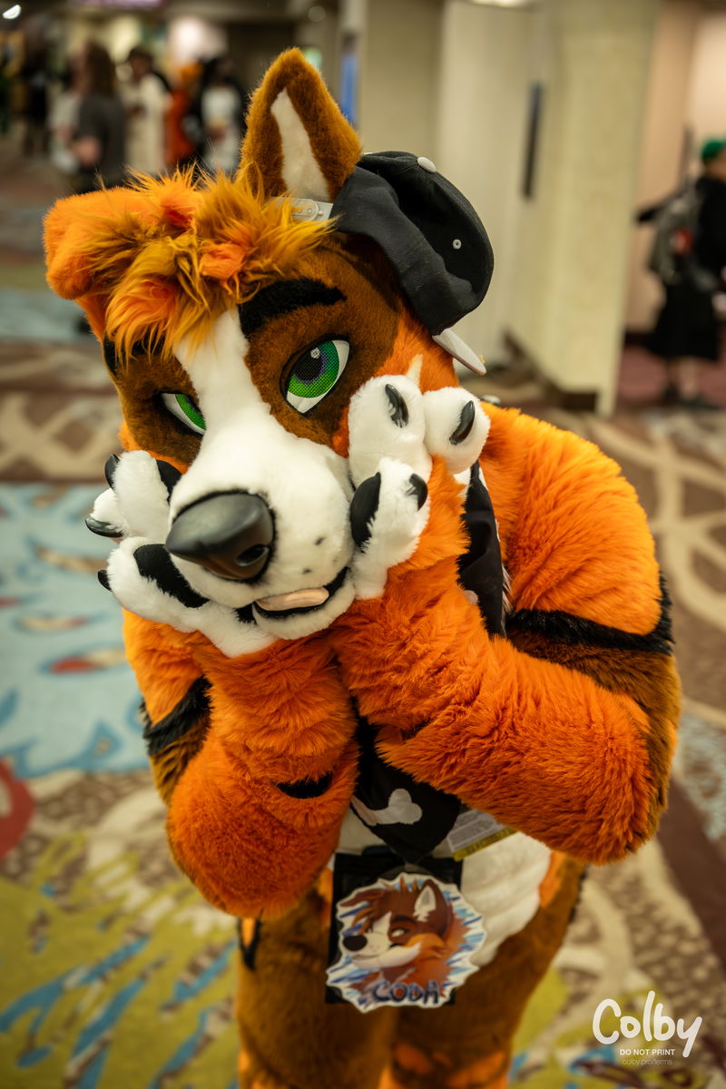 Biggest Little Fur Con 2023