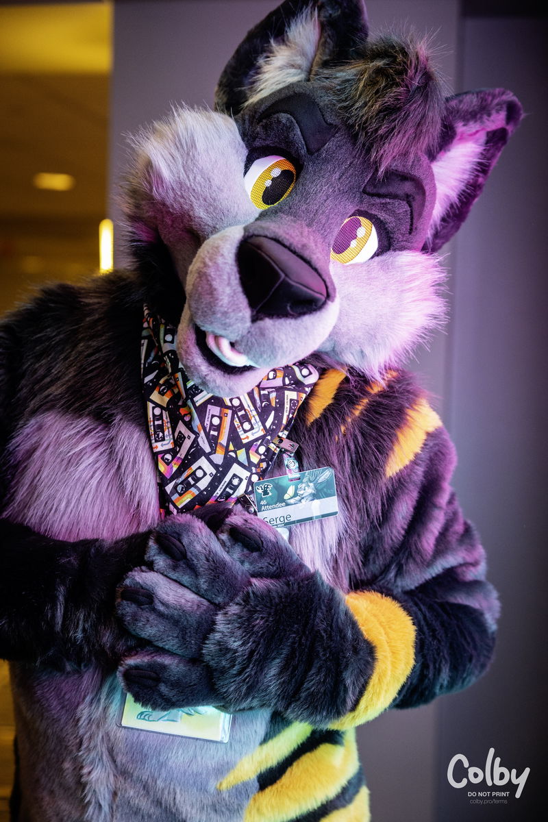 Texas Furry Siesta 2024