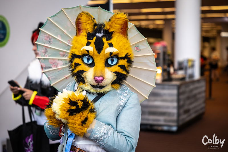 Anthrocon 2025