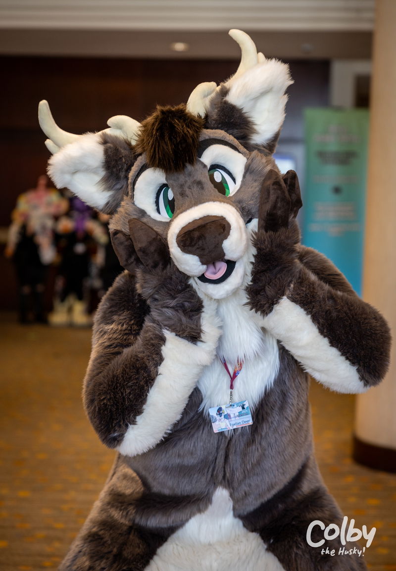 Texas Furry Siesta 2023
