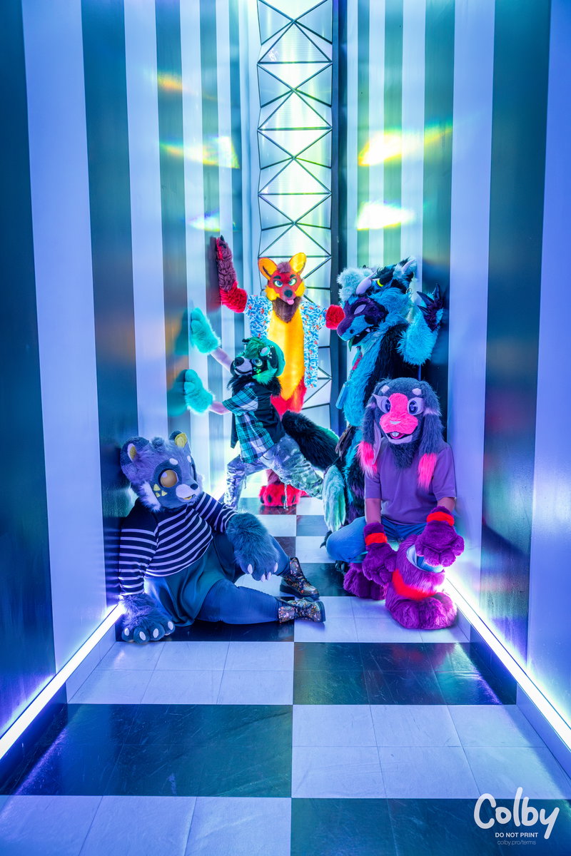 DFW Meow Wolf July