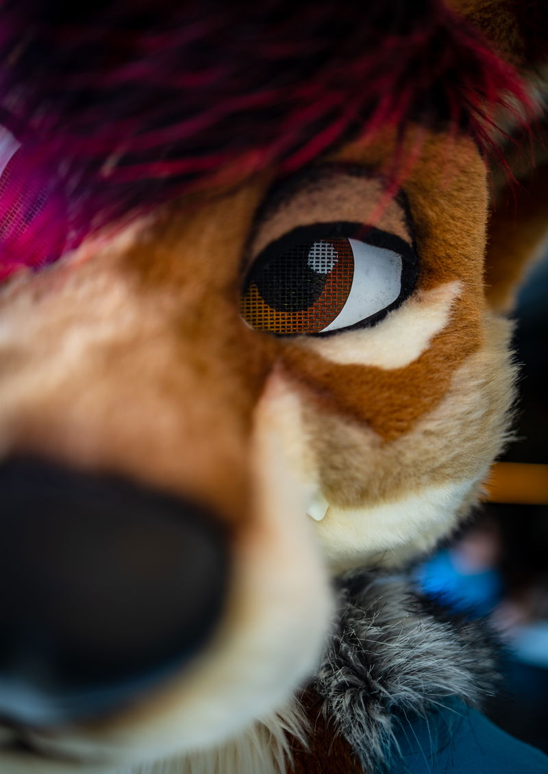Alamo City Furry Invasion 2022