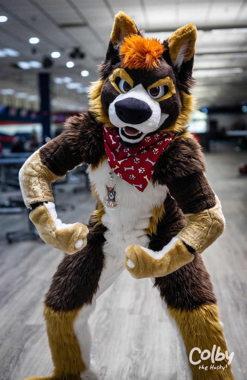 DFW Furbowl April 2023