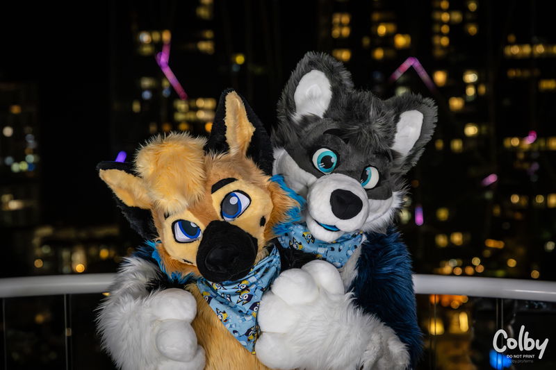FurDU 2025
