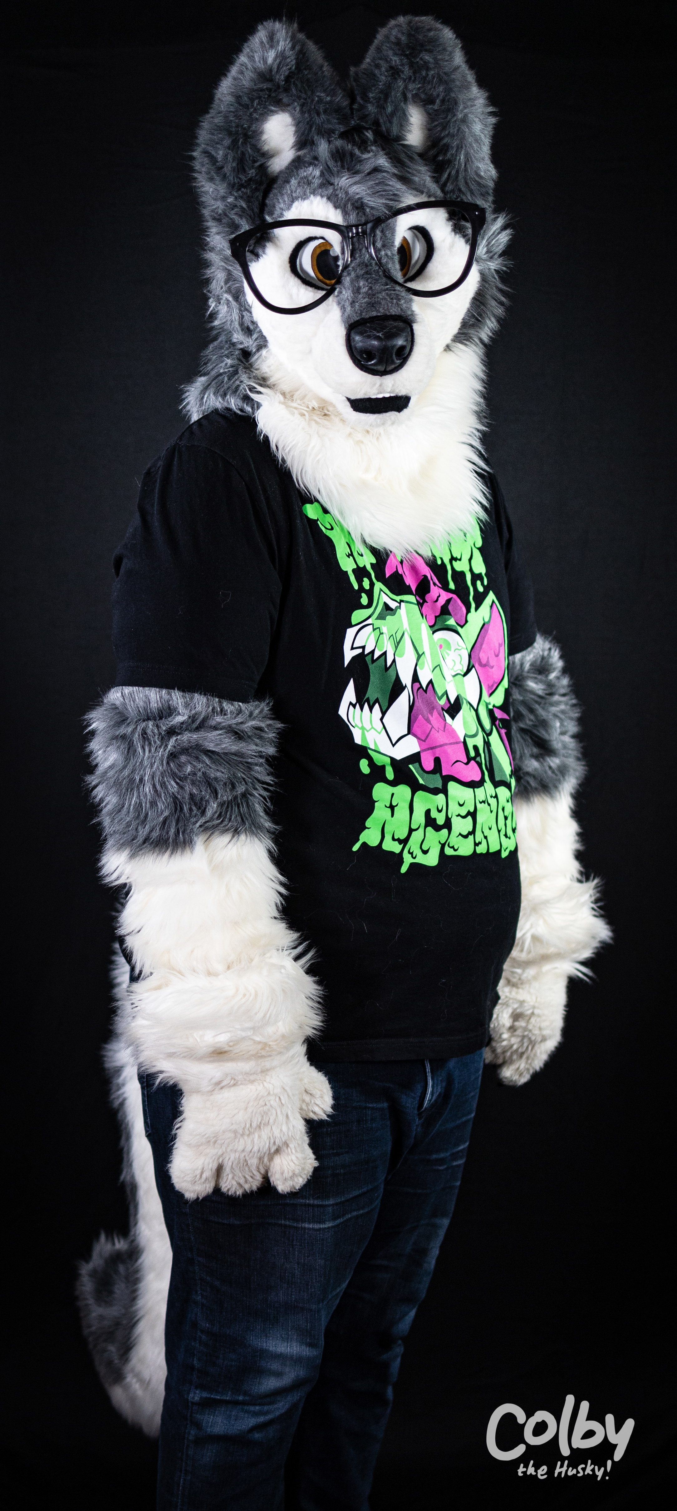 Gallery item 3477