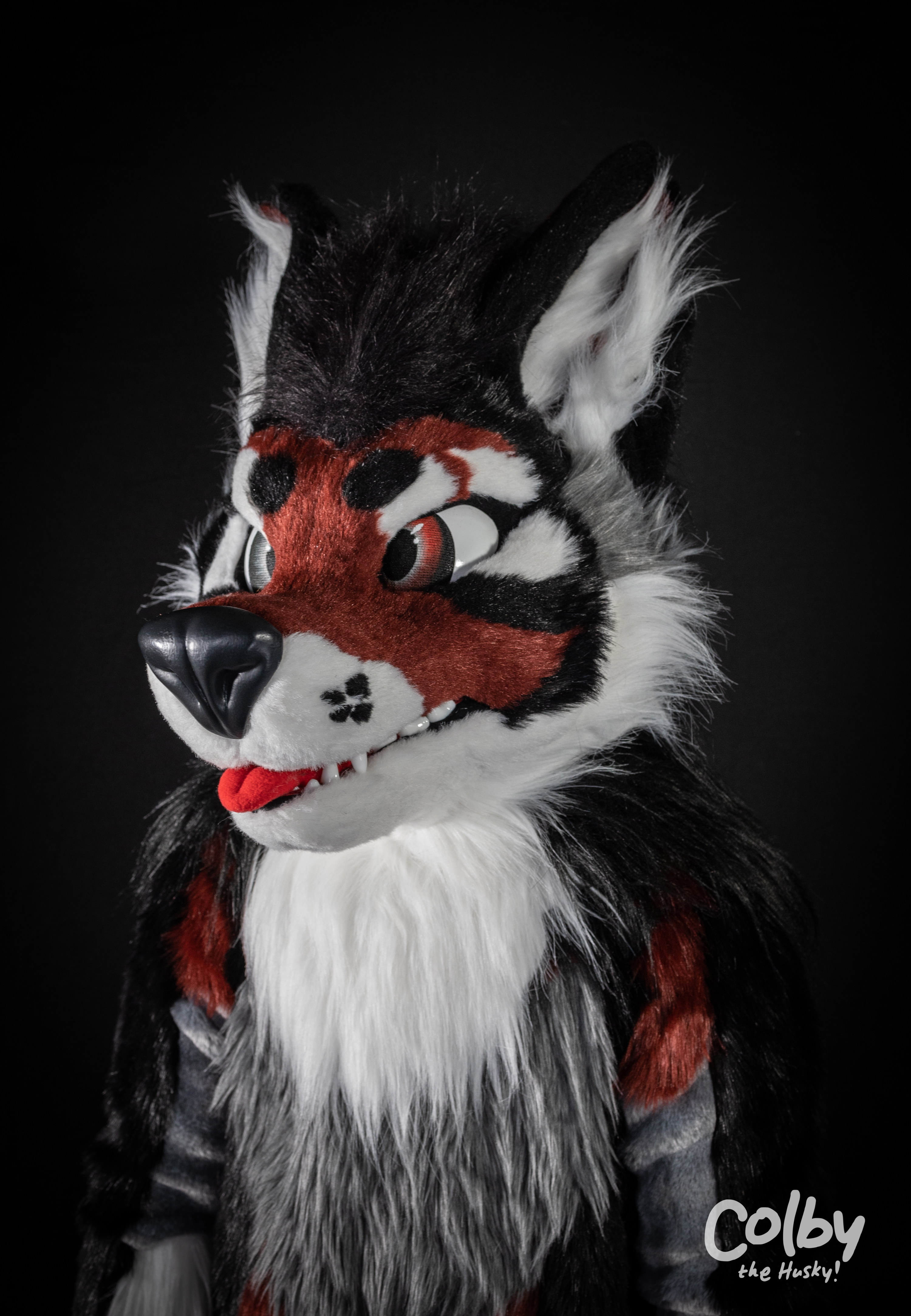 Gallery item 3689