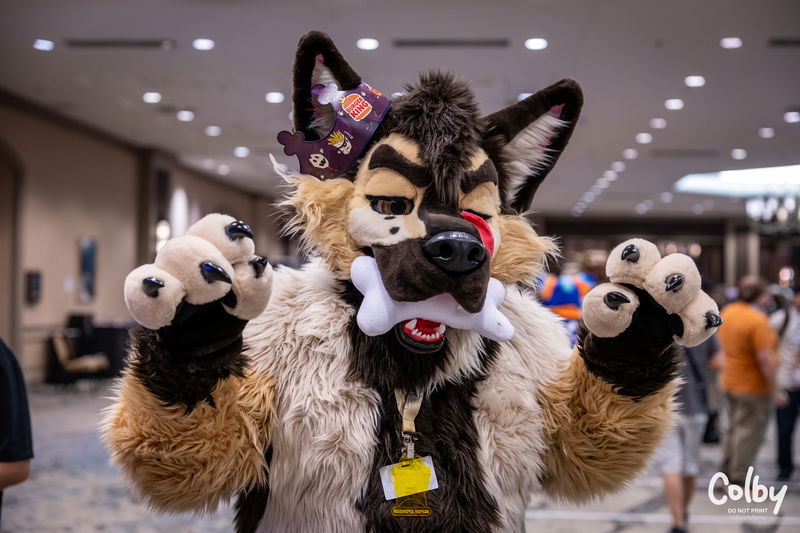 Texas Furry Fiesta 2026