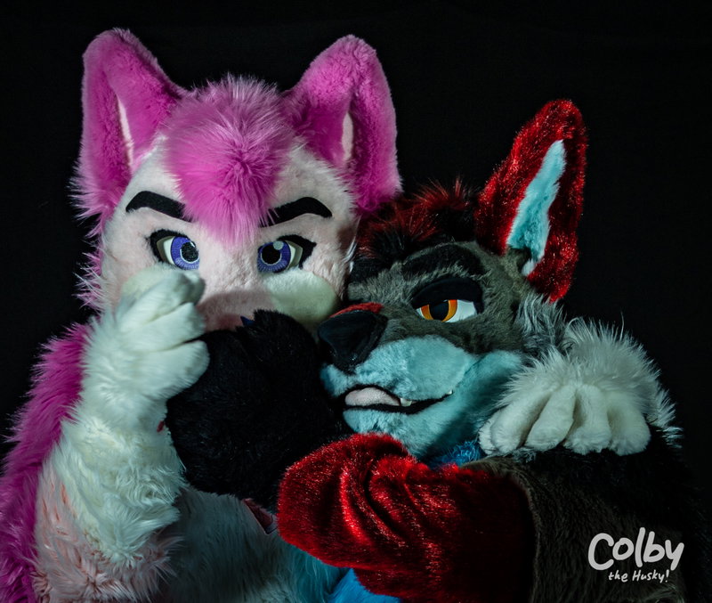 Charlie / Polar / Chaos / Coda