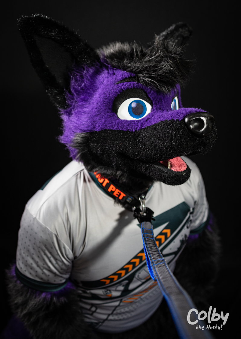 That Purple Fox