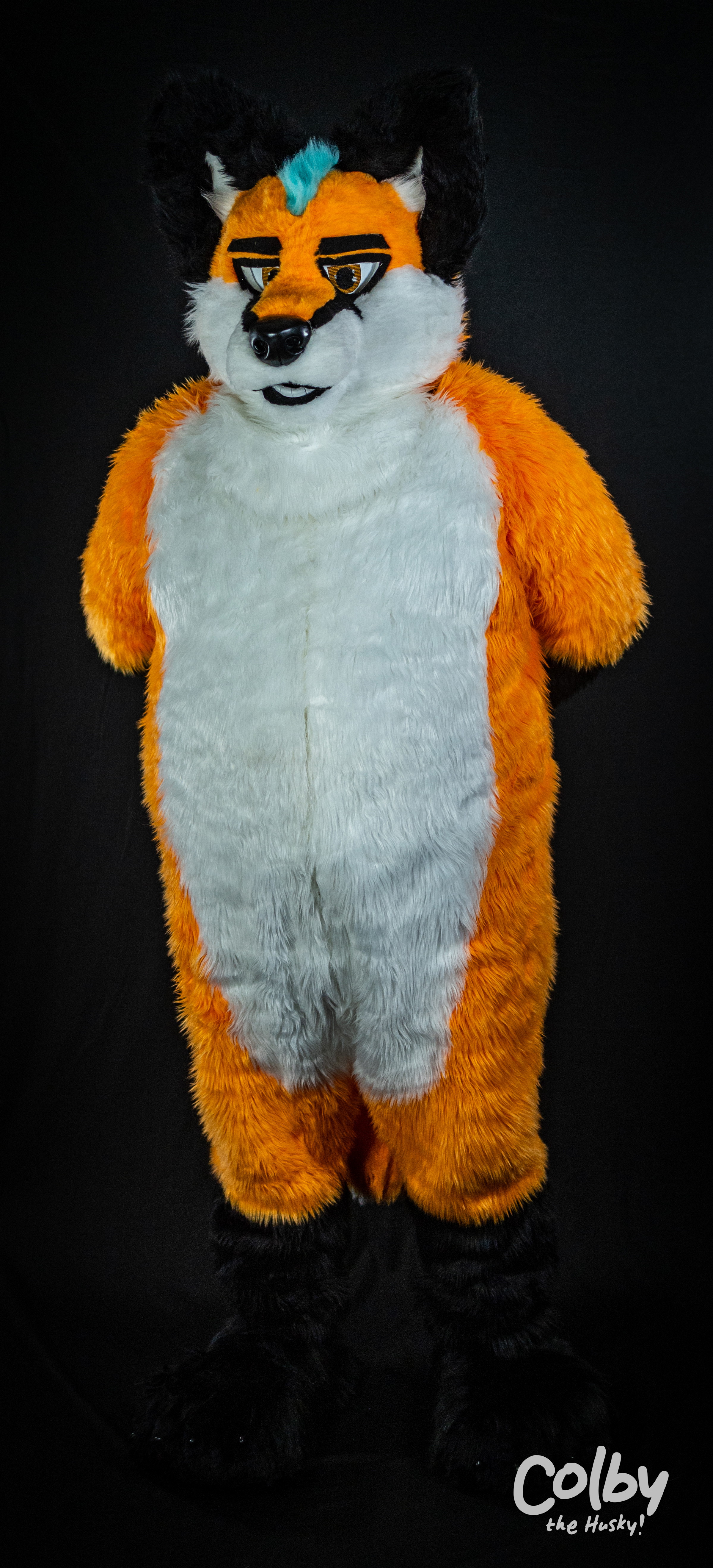 Gallery item 3418